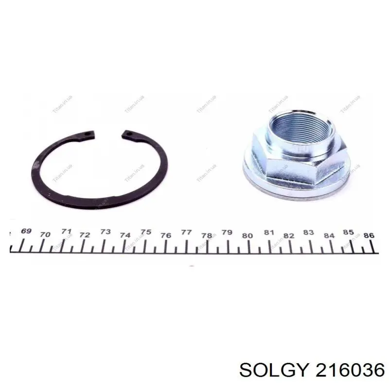 216036 Solgy Подшипник ступицы задней