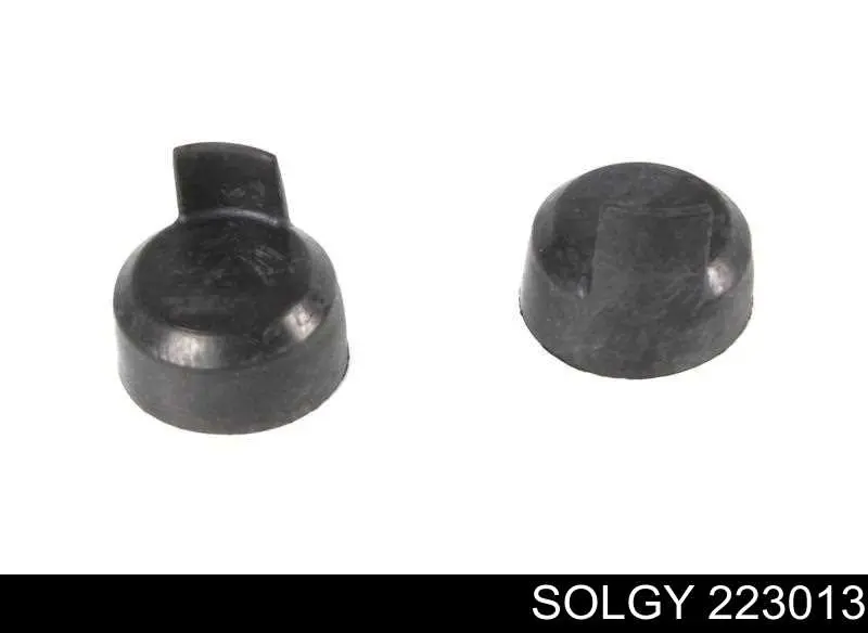 Ремкомплект тормозного суппорта переднего Solgy 223013