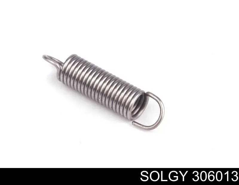 Купить 306013 Solgy Ролик двери боковой (сдвижной) правый нижний