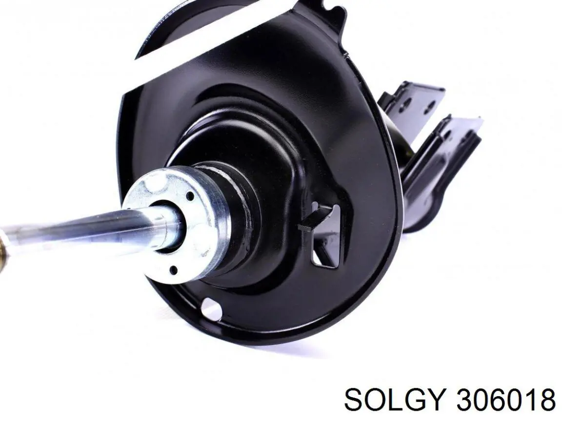 Купить 306018 Solgy Ролик двери боковой (сдвижной) правый центральный