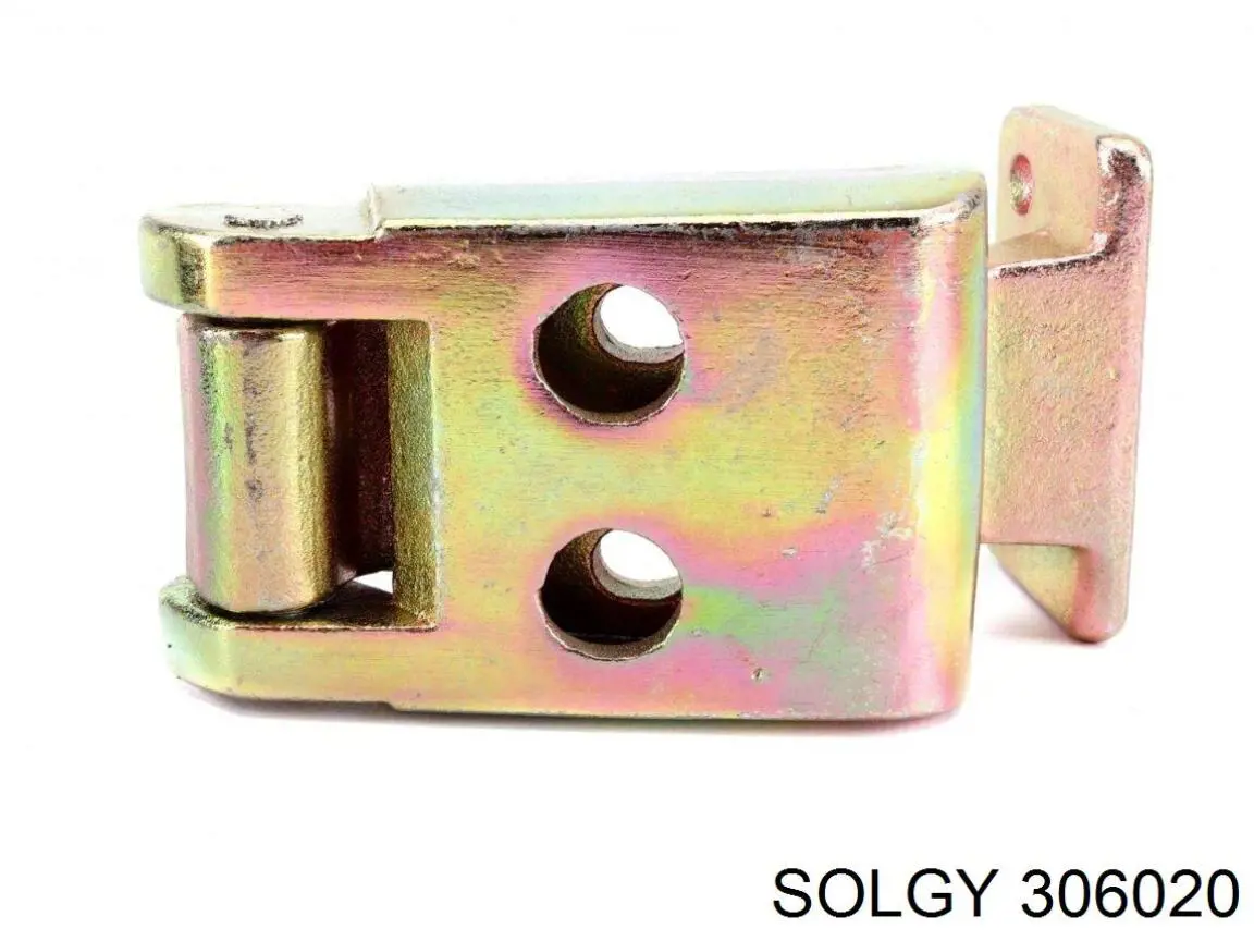 Купить 306020 Solgy Петля двери задней (распашной) левая верхняя