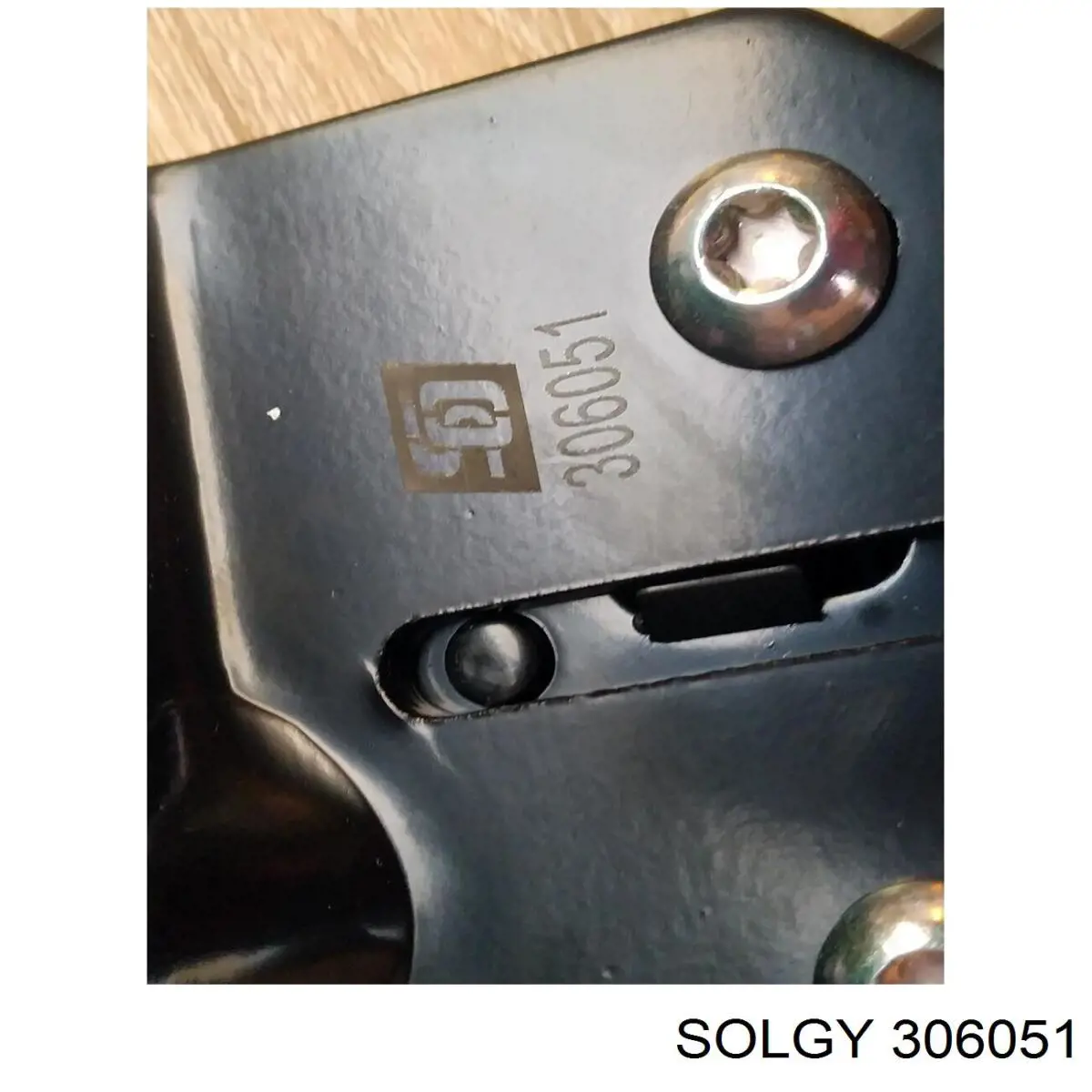 Ролик двери боковой (сдвижной) правый нижний 306051 Solgy