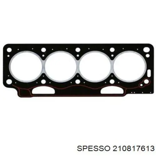 210817613 Spesso