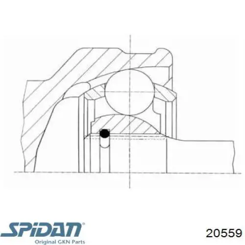 Junta homocinética exterior delantera 20559 GKN-Spidan