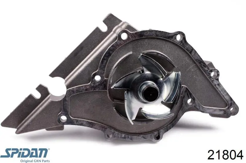 Купить 21804 GKN-Spidan Пыльник гранаты наружный, передний