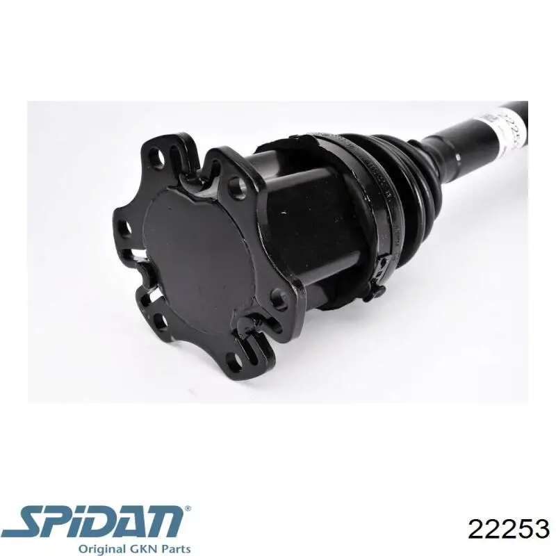DS21107 LPR Ось передняя в сборе