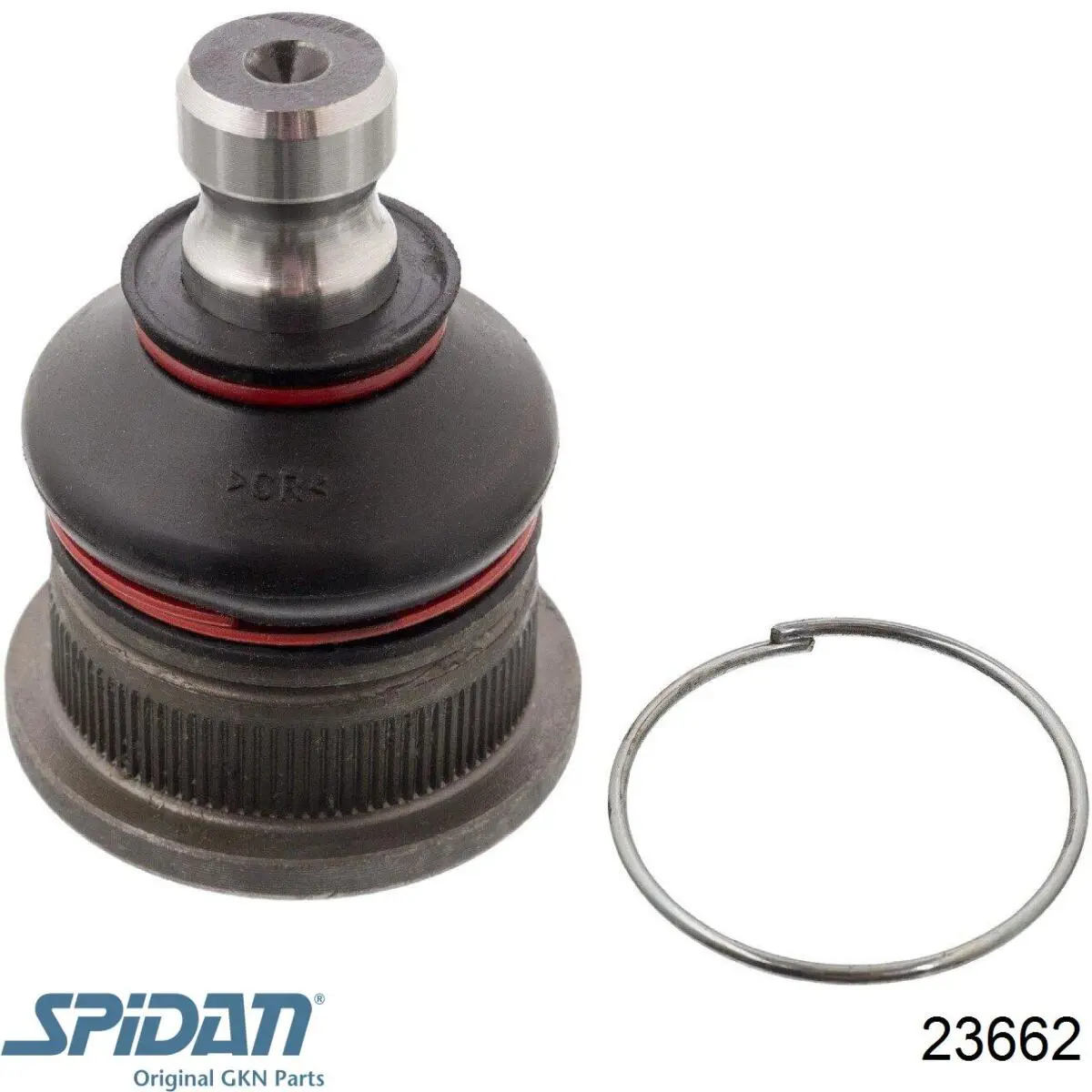 Купить 23662 GKN-Spidan Пыльник гранаты наружный, передний