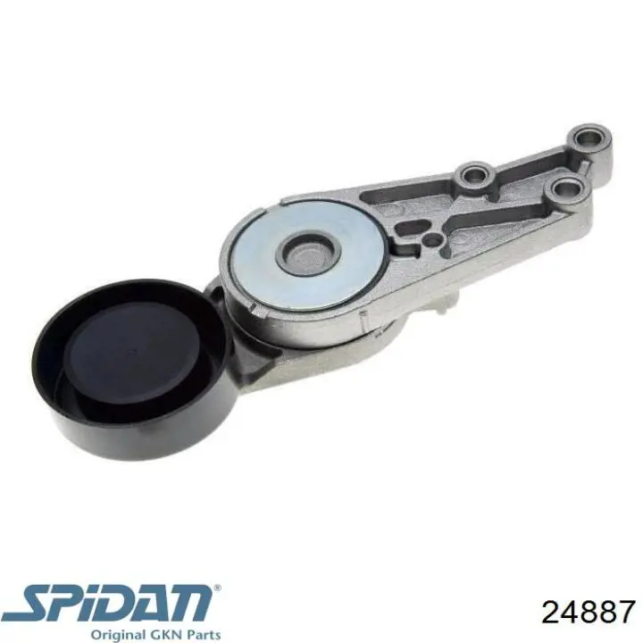 Купить 24887 GKN-Spidan Пыльник гранаты наружный, передний