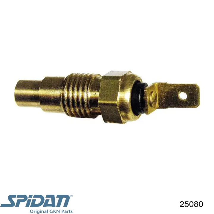 ШРУС наружный передний 25080 GKN-Spidan