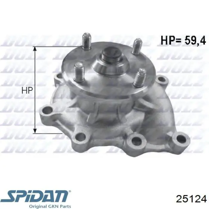 Купить 25124 GKN-Spidan Пыльник гранаты наружный, передний