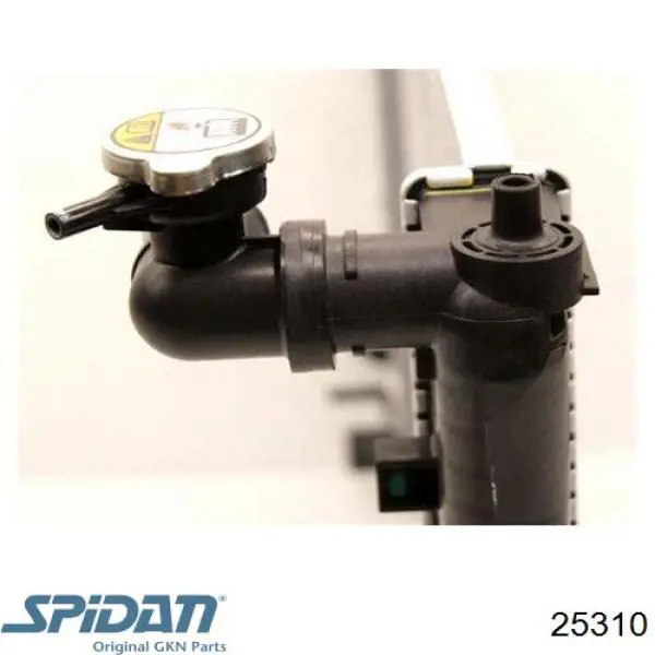 Купить 305533 GKN-Spidan Пыльник гранаты наружный, передний