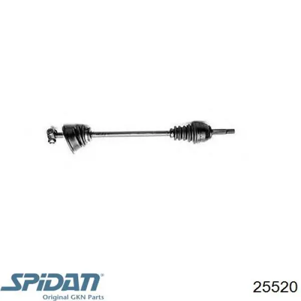 Купить 25520 GKN-Spidan Пыльник гранаты наружный, передний