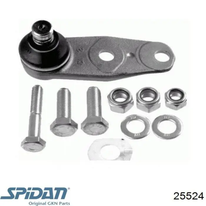 Пыльник ШРУСа наружный 25524 GKN-Spidan