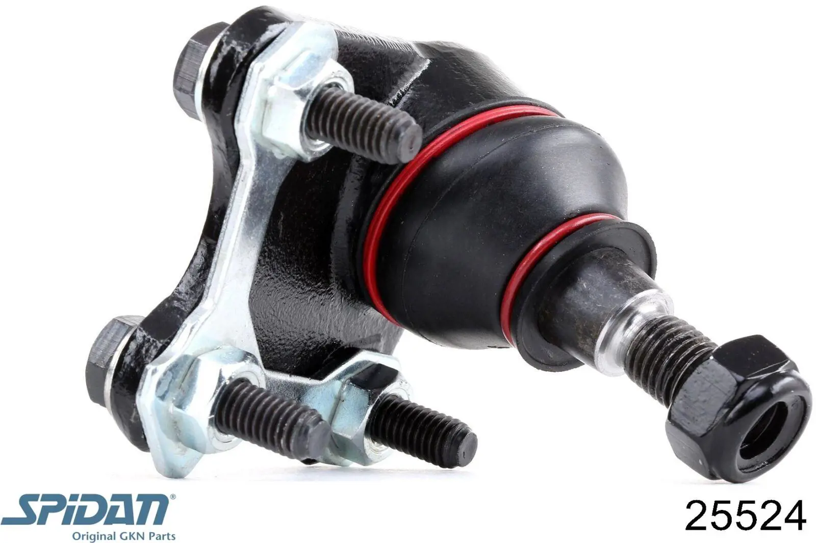 Купить 25524 GKN-Spidan Пыльник гранаты наружный, передний