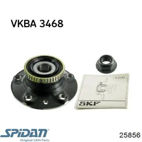 Купить 25856 GKN-Spidan Пыльник гранаты наружный, передний