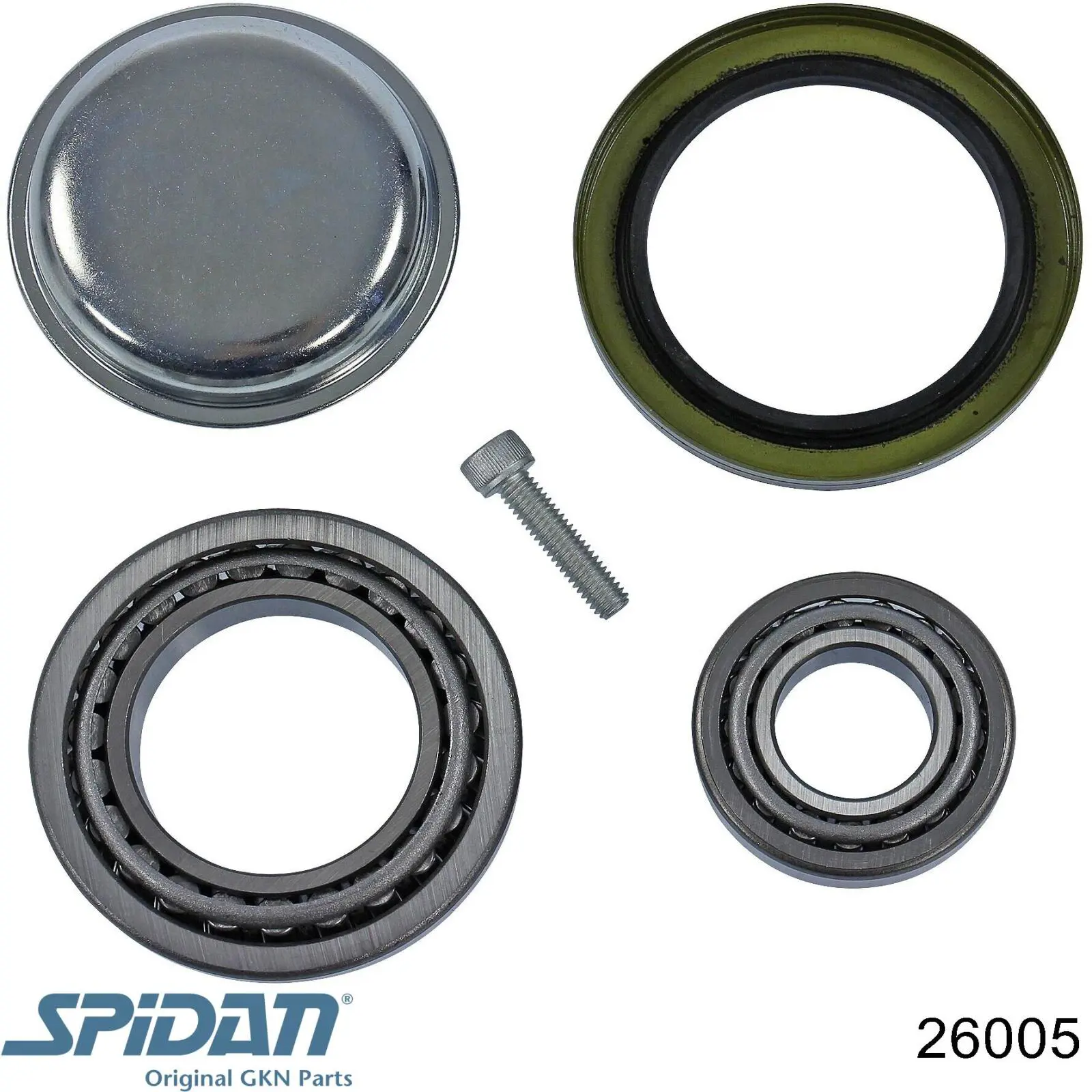 Купить 26005 GKN-Spidan Пыльник гранаты наружный, передний