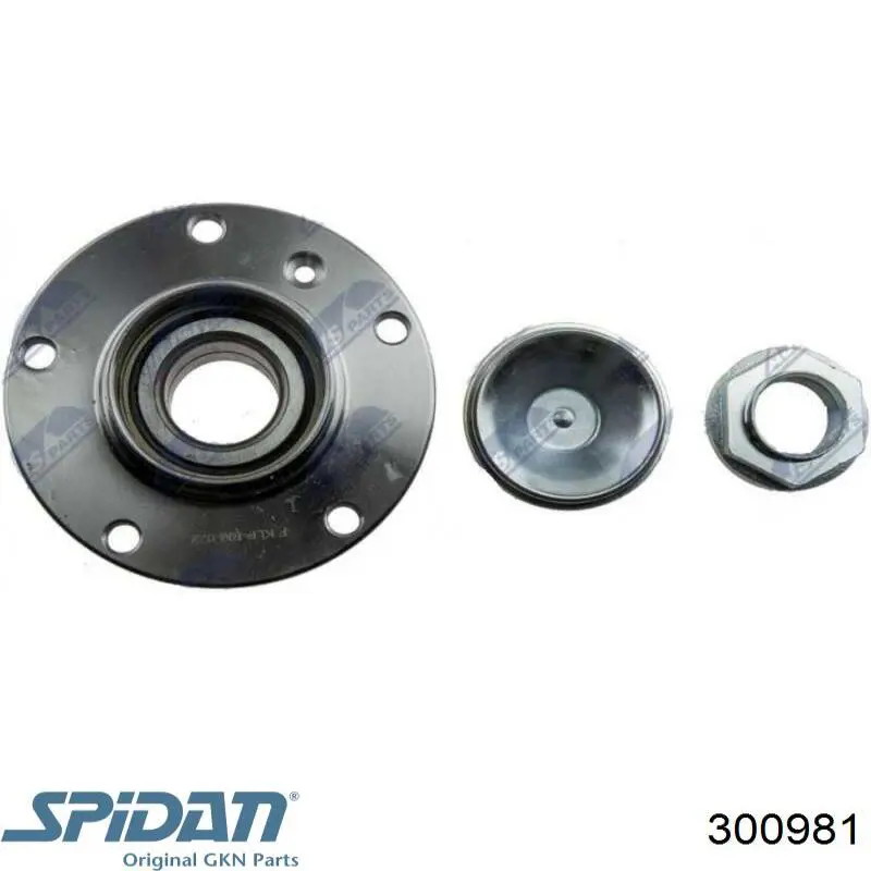 Купить 300981 GKN-Spidan Внешняя граната