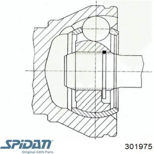 Купить 301975 GKN-Spidan Внешняя граната