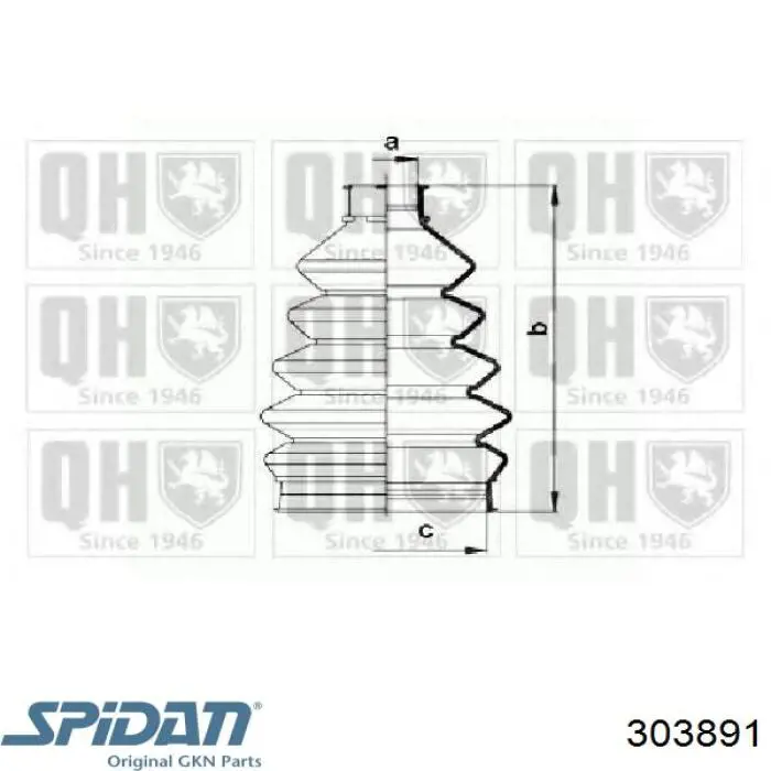 303891 GKN-Spidan Пыльник шарнира привода