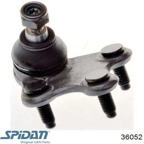 Пыльник ШРУСа внутренний 36052 GKN-Spidan