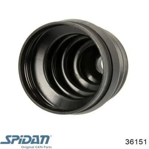 Купить 36151 GKN-Spidan Пыльник гранаты наружный, передний