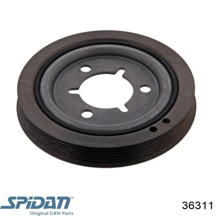 Купить 36311 GKN-Spidan Пыльник гранаты наружный, передний
