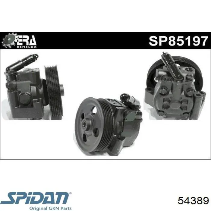 Купить 54389 GKN-Spidan Насос рулевого управления