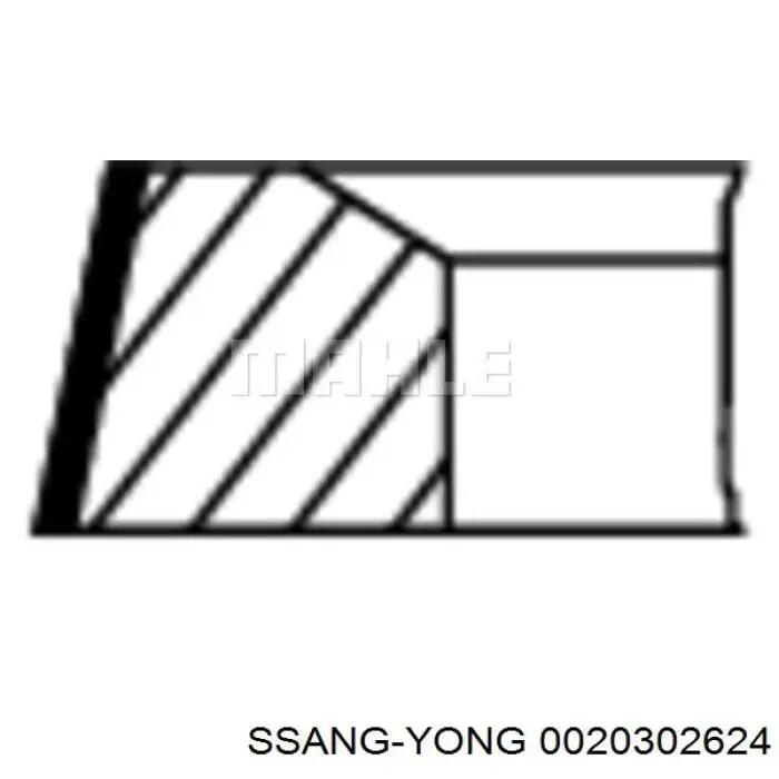 0020302624 Ssang Yong кольца поршневые на 1 цилиндр, std.