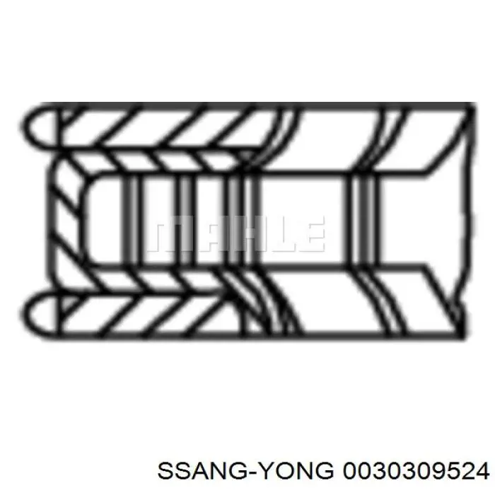 0030309524 Ssang Yong kit de anéis de pistão de motor, std.