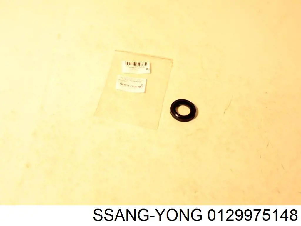 0129975148 Ssang Yong vedante de cano derivado de bomba
