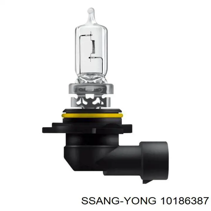 10186387 Ssang Yong 