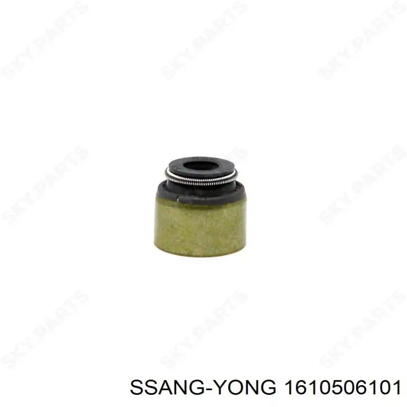  1610506101 Ssang Yong