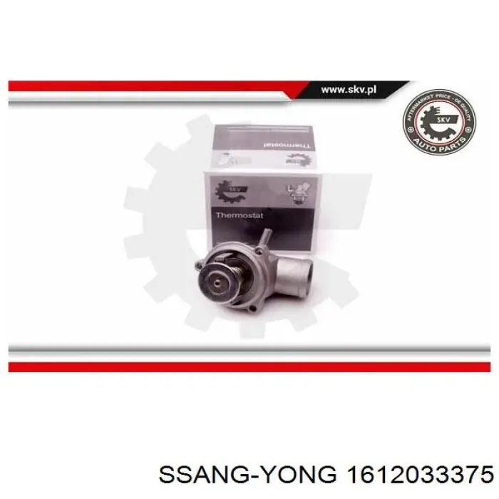 Купить 1612033375 Ssang Yong Автомобильный термостат