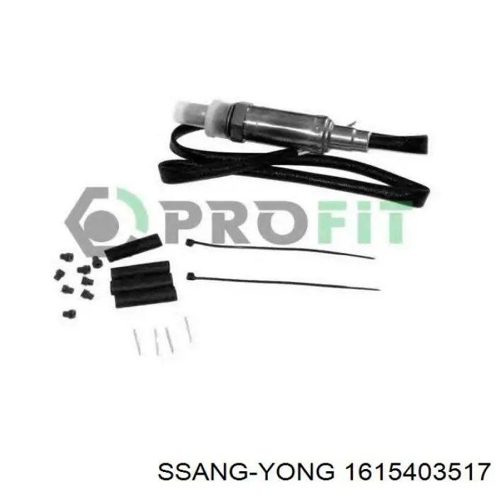 1615403517 Ssang Yong Датчик кислорода