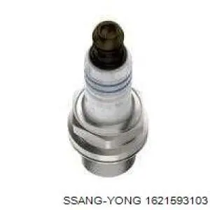 1621593103 Ssang Yong