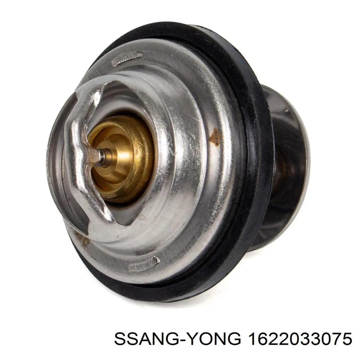 Авто термостат на SsangYong Kyron  