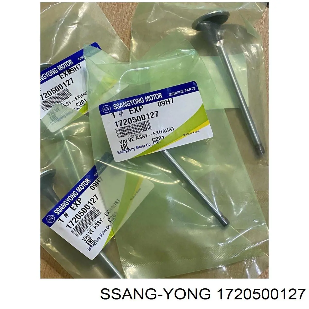  1720500127 Ssang Yong