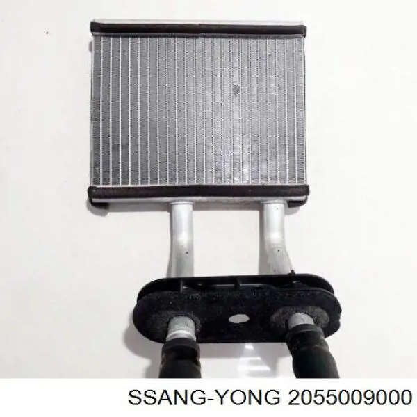 2055009000 Ssang Yong Pedal de gás (de acelerador)