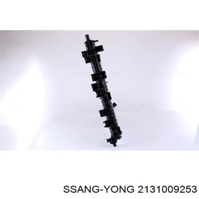 Радиатор охлаждения двигателя Ssang Yong 2131009253 цена, от 184.70 USD