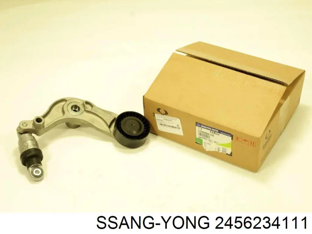 2456234111 Ssang Yong 
