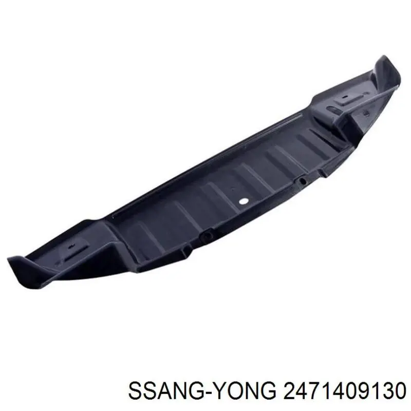 2471409130 Ssang Yong 