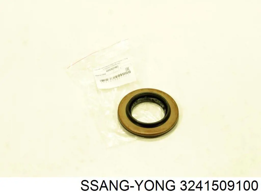 3241509100 Ssang Yong