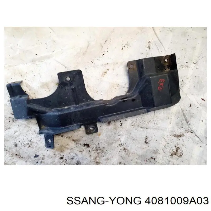 4081009A03 Ssang Yong Защита картера двигателя