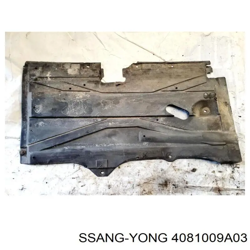 Защита моторного отсека Ssang Yong 4081009A03 цена, от 16.95 USD