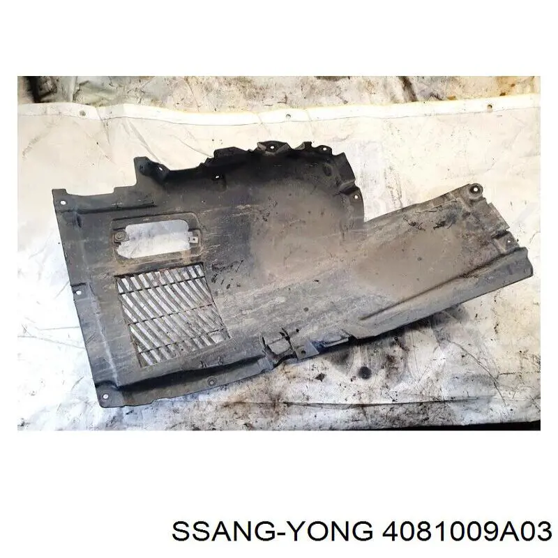Защита моторного отсека Ssang Yong 4081009A03 цена, от 16.95 USD