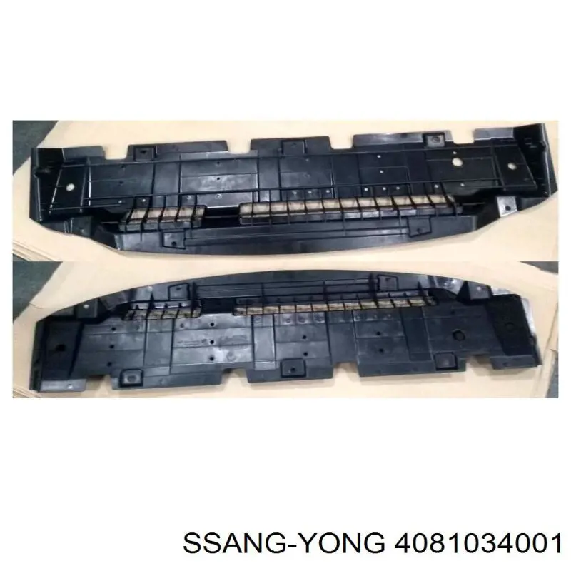 Защита двигателя 4081034001 Ssang Yong