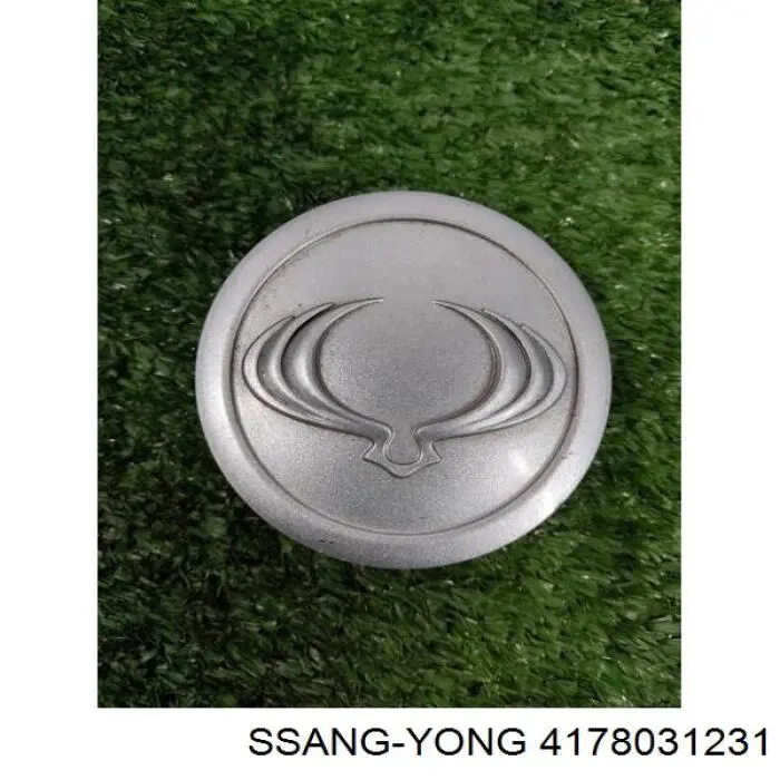 Колпак колесного диска на SsangYong Kyron II 