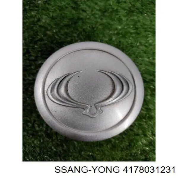 4178031231 Ssang Yong