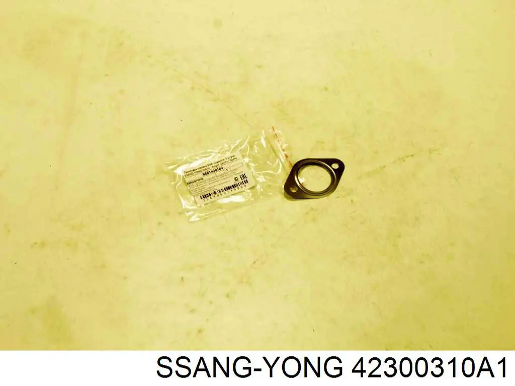  42300310A1 Ssang Yong