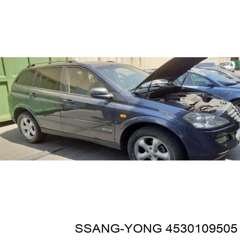 Стойка амортизатора задняя Ssang Yong 4530109505 цена, от 77.55 USD